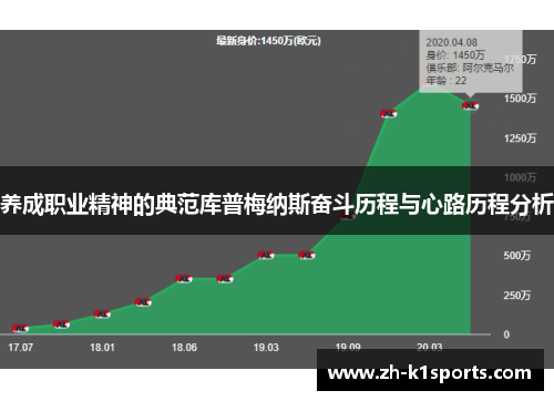 养成职业精神的典范库普梅纳斯奋斗历程与心路历程分析