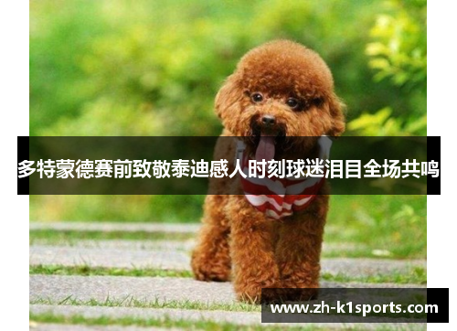 多特蒙德赛前致敬泰迪感人时刻球迷泪目全场共鸣