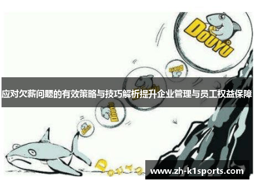 应对欠薪问题的有效策略与技巧解析提升企业管理与员工权益保障