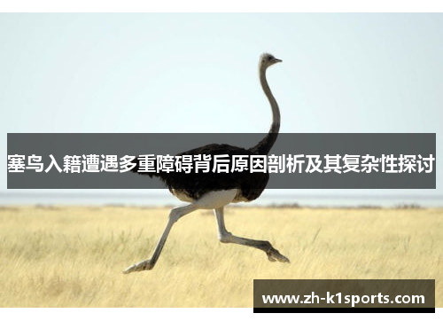 塞鸟入籍遭遇多重障碍背后原因剖析及其复杂性探讨