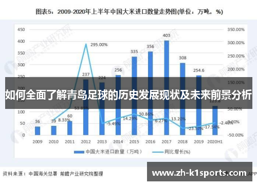 如何全面了解青岛足球的历史发展现状及未来前景分析